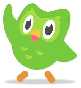 DuoLingo Owl