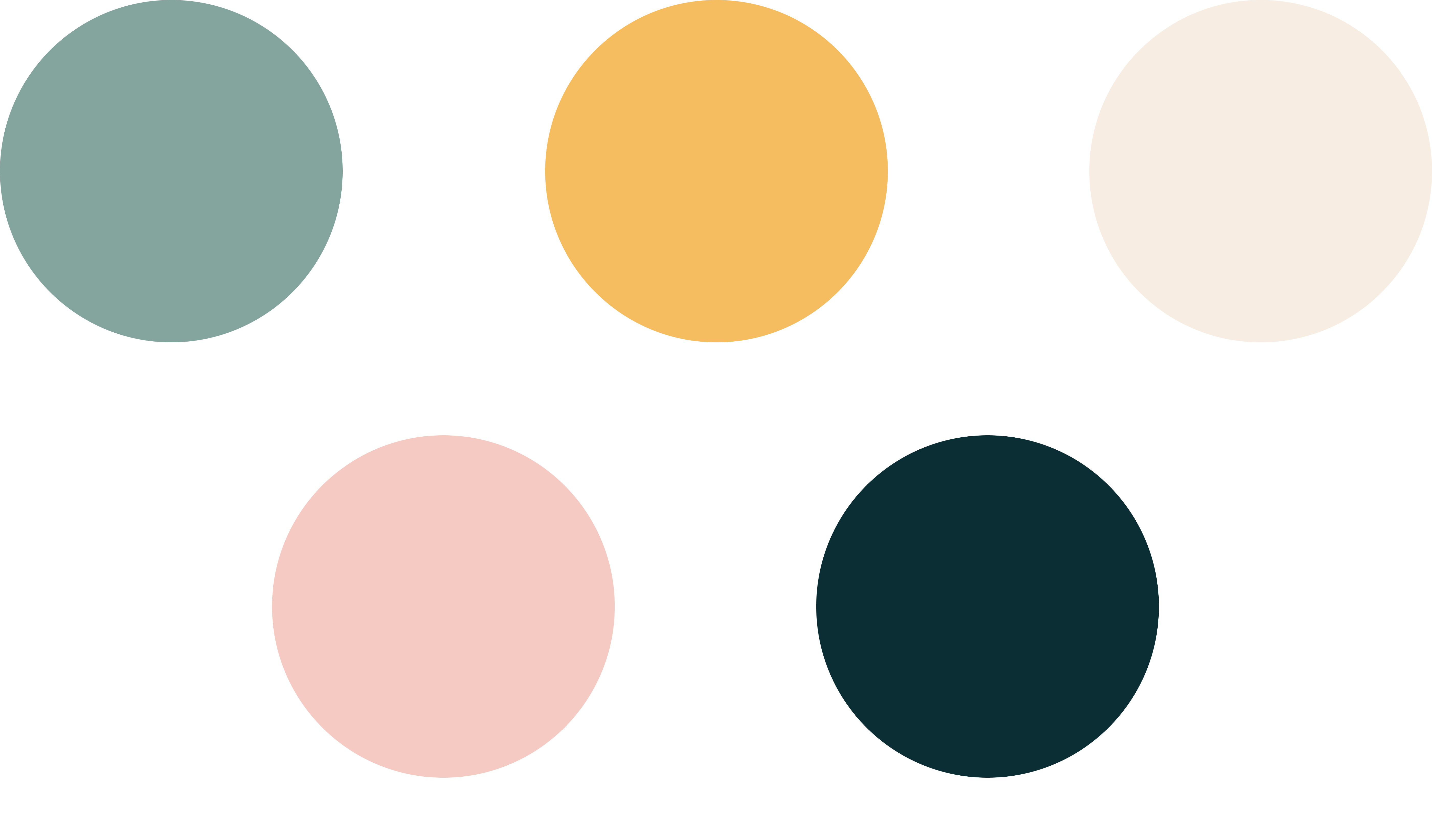Color Palette