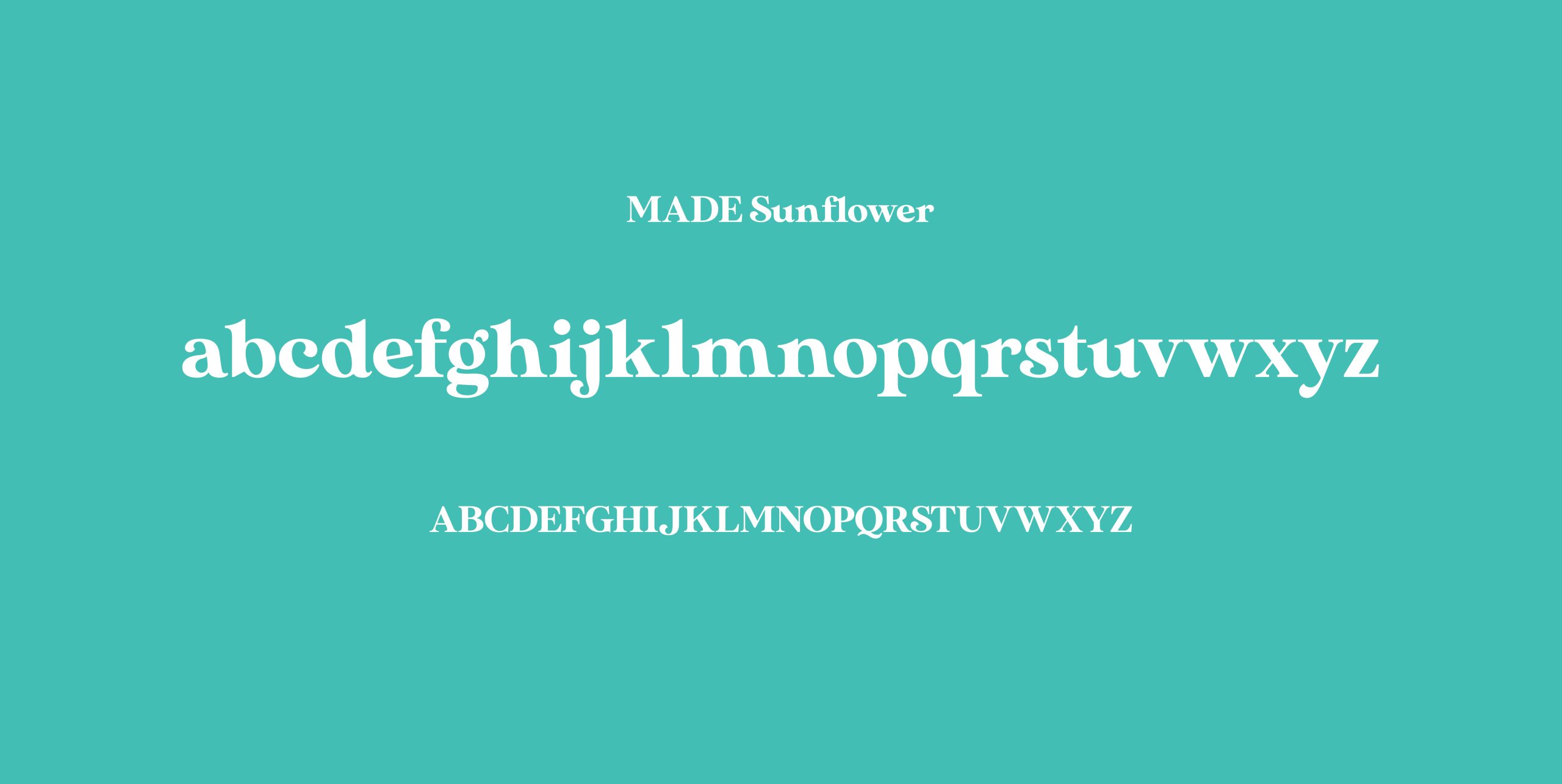 Font Card 01