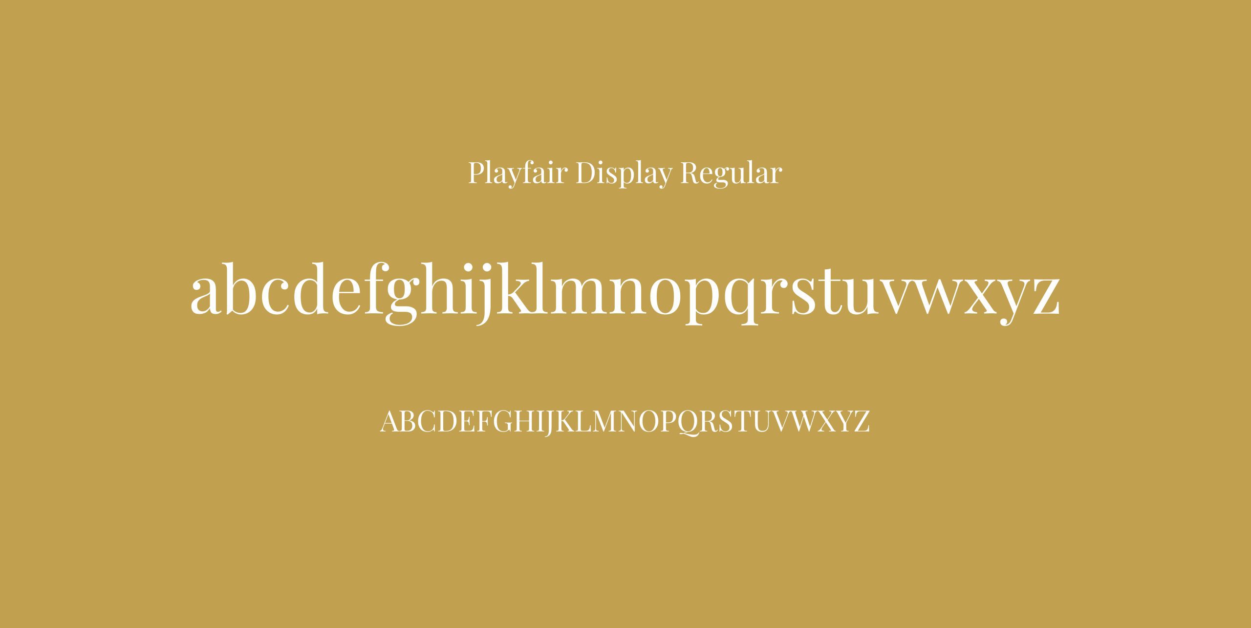 Playfair Display