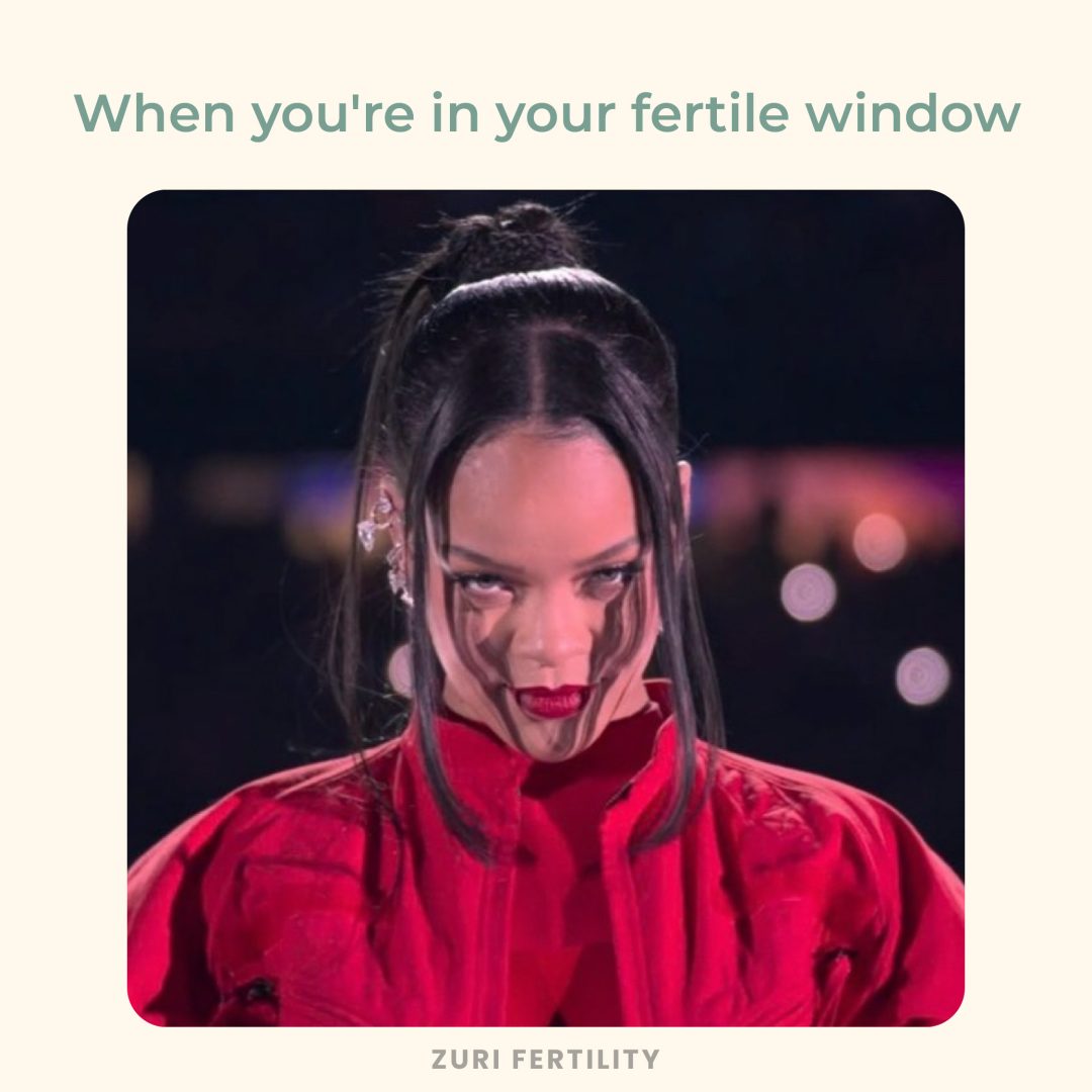 Rihanna Meme