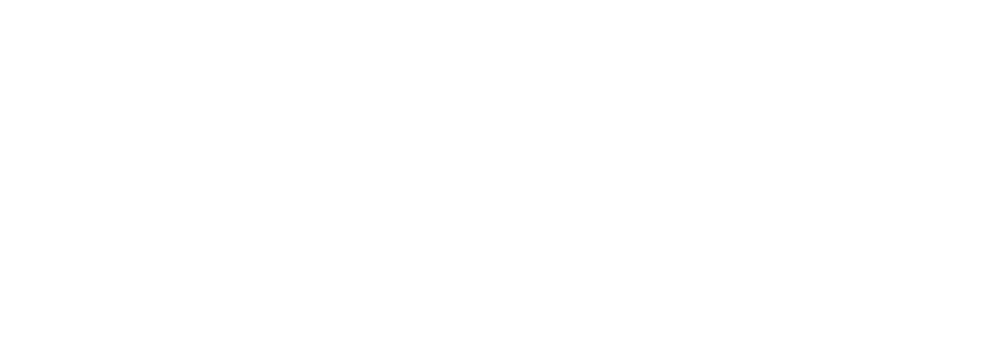 Secondary Logo