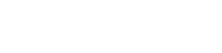 White - White - Primary Logo