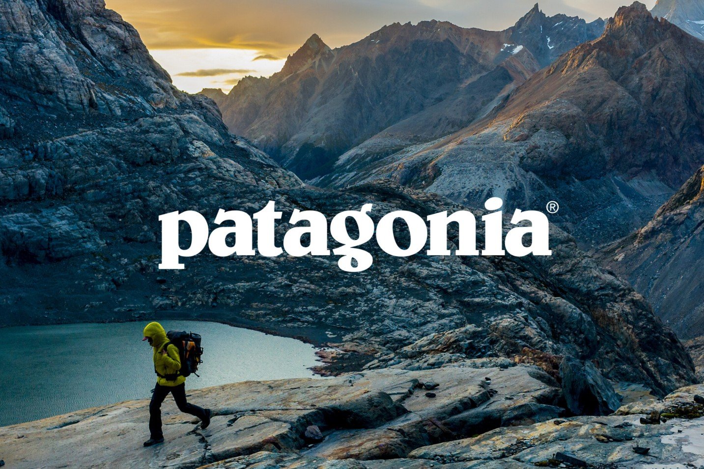 THE BRAND STORY OF PATAGONIA - Brand The Change
